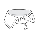 Removable collar stays