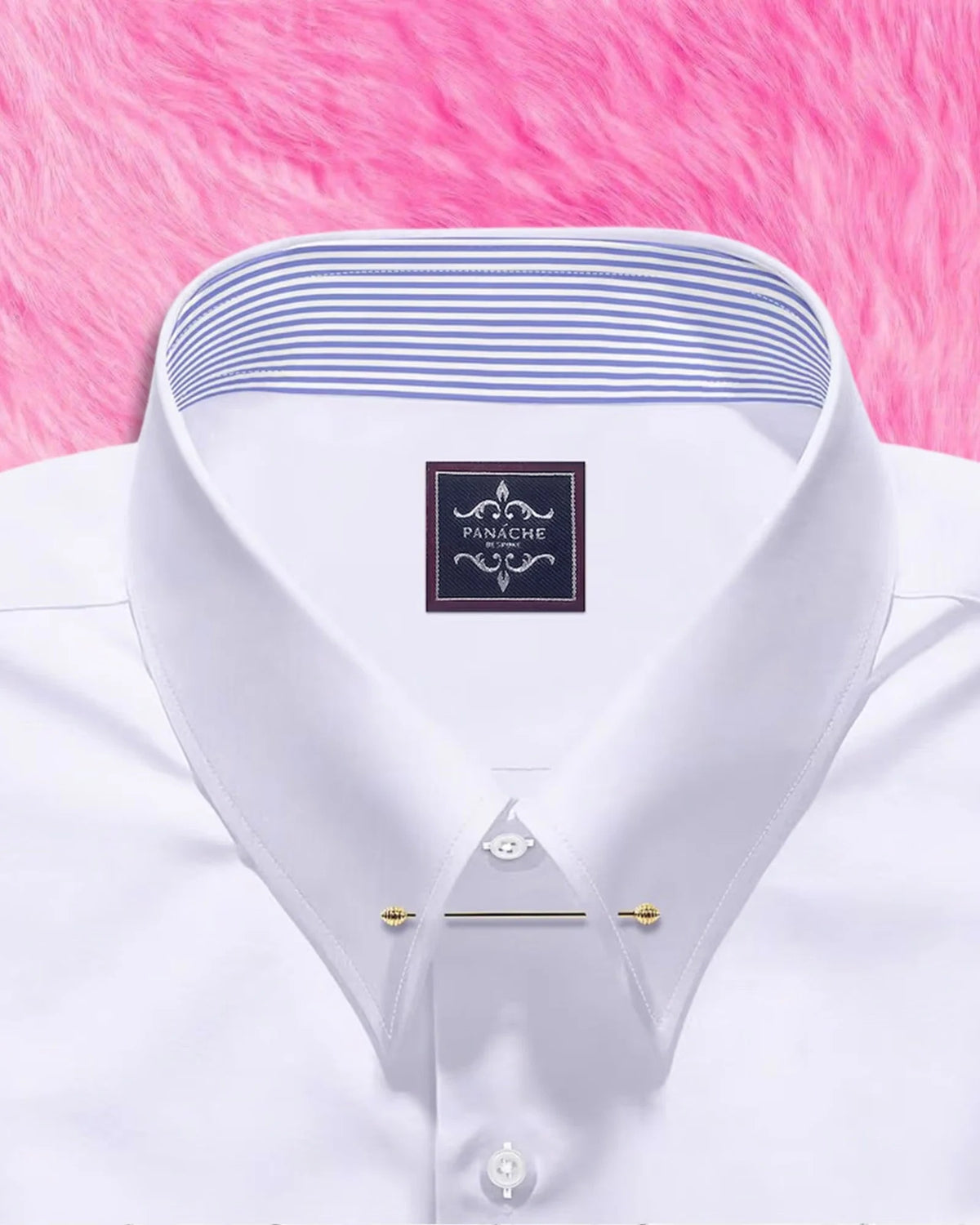 Pin collar close-up with gold collar bar and blue striped inner collar